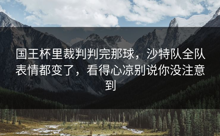 国王杯里裁判判完那球，沙特队全队表情都变了，看得心凉别说你没注意到