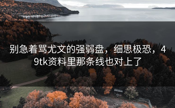 别急着骂尤文的强弱盘，细思极恐，49tk资料里那条线也对上了