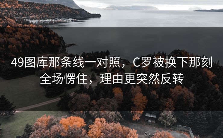 49图库那条线一对照，C罗被换下那刻全场愣住，理由更突然反转